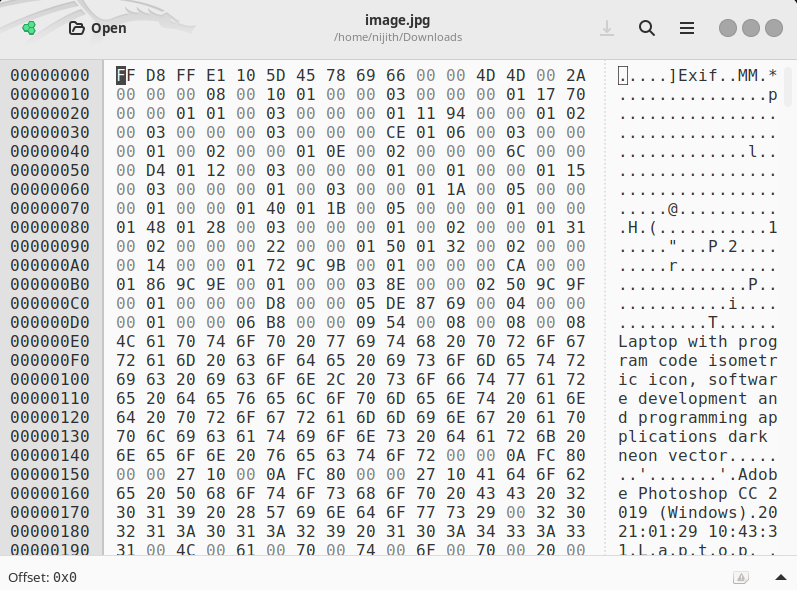 A hidden message being extracted from a JPG file using Python code.